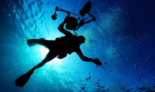 PADI Digital Underwater Photography
